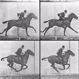 Every Frame a Painting