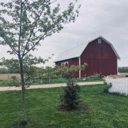 Intentional Homesteading