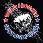 WILD HORSES Broncos