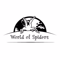World of Spiders