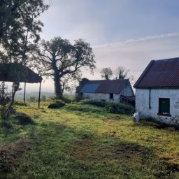 The Irish Homestead