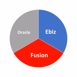 Oracle Ebiz and Fusion Videos