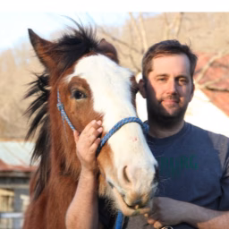 Homestead Horsemanship