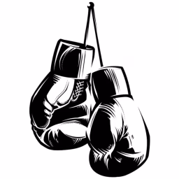Boxing Power