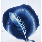 Alternative Process Photography