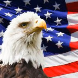Patriot MotorSports USA