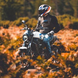 Dorset.Motorcycles 