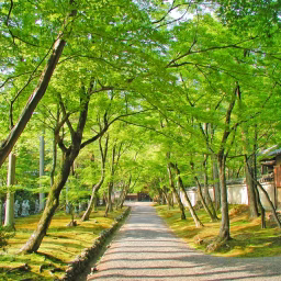 京都嵐山 宝厳院｜Arashiyama Hogonin