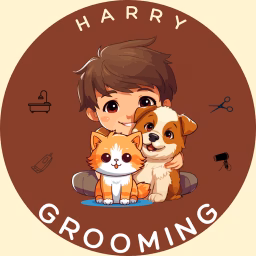 Harry Grooming