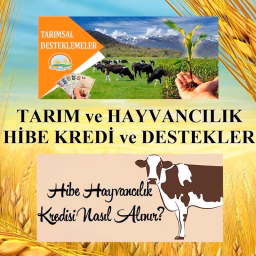 Tarım ve Hayvancılık Hibe Kredi ve Destekler