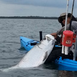 Key West Kayak Fishing