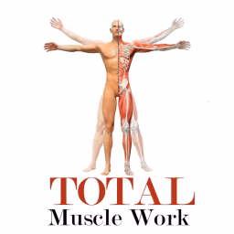 Total Muscle Work