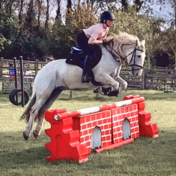 PonyCam