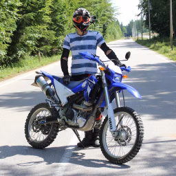 PaddyEnduro