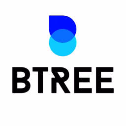 BTree Systems