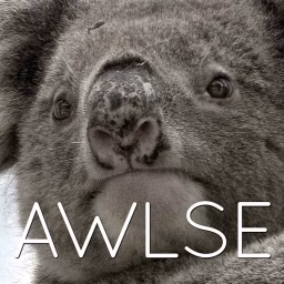 Animals With Low Self Esteem
