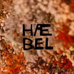 hæbel