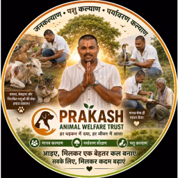 Prakash Animal Welfare