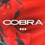 Cobra Seats Ltd