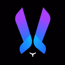 VZ Motion Design Agency