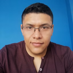 Mauricio Developer