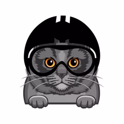 Motocat