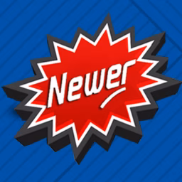 Newer Team