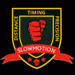 Slowmotion Kampfsystem - Die Kunst zu Siegen
