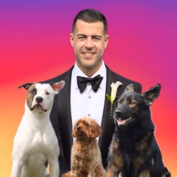 Pack Leader Dogs