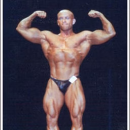 Muscle and Fiction