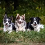 Gwen, Bea, & Nari | Comedy+Photography |