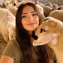 zirve besi çiftliği