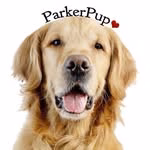 ParkerPup