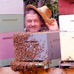 Don The Fat Bee Man