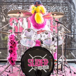 sliderthemascot