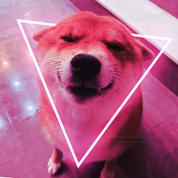 SquishyShibe