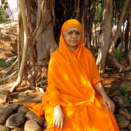 Satyavrata The Voice of Vedas