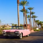 Mid Century Modern Mecca