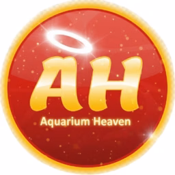 Aquarium Heaven
