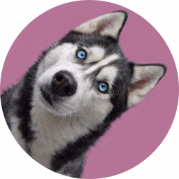 Funny Pets Collective