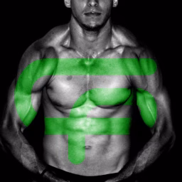 Green Fits