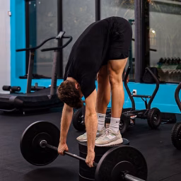 Low Back Ability
