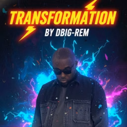 DBig-Rem