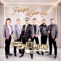 Grupo Bryndis - Topic