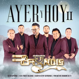 Grupo Bryndis - Topic