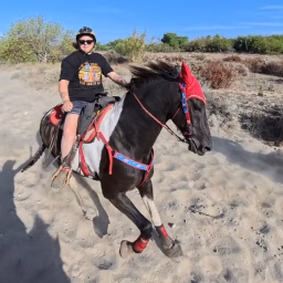 Equestrian_chaos