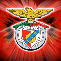  NOTÍCIAS DO BENFICA 