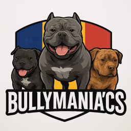 American Bully Pocket Kennel
