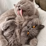 Donnie and Leo