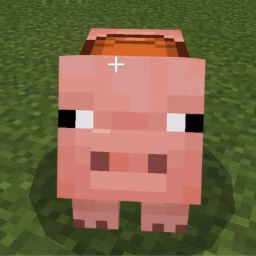 Minecraft SMP SERVER